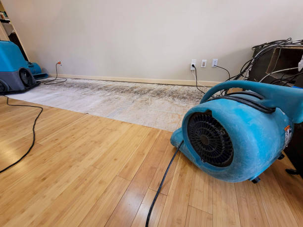 Professional Water Extraction technician working in Lawnside, NJ
